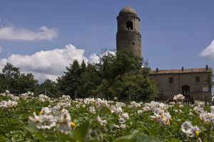 Alojamiento - Agriturismo Montagna Verde