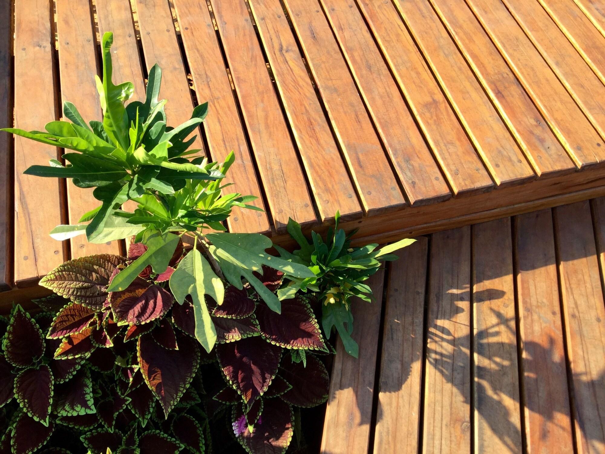 Vista Exterior asDunas Lodge