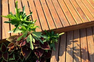 Alojamiento - asDunas Lodge