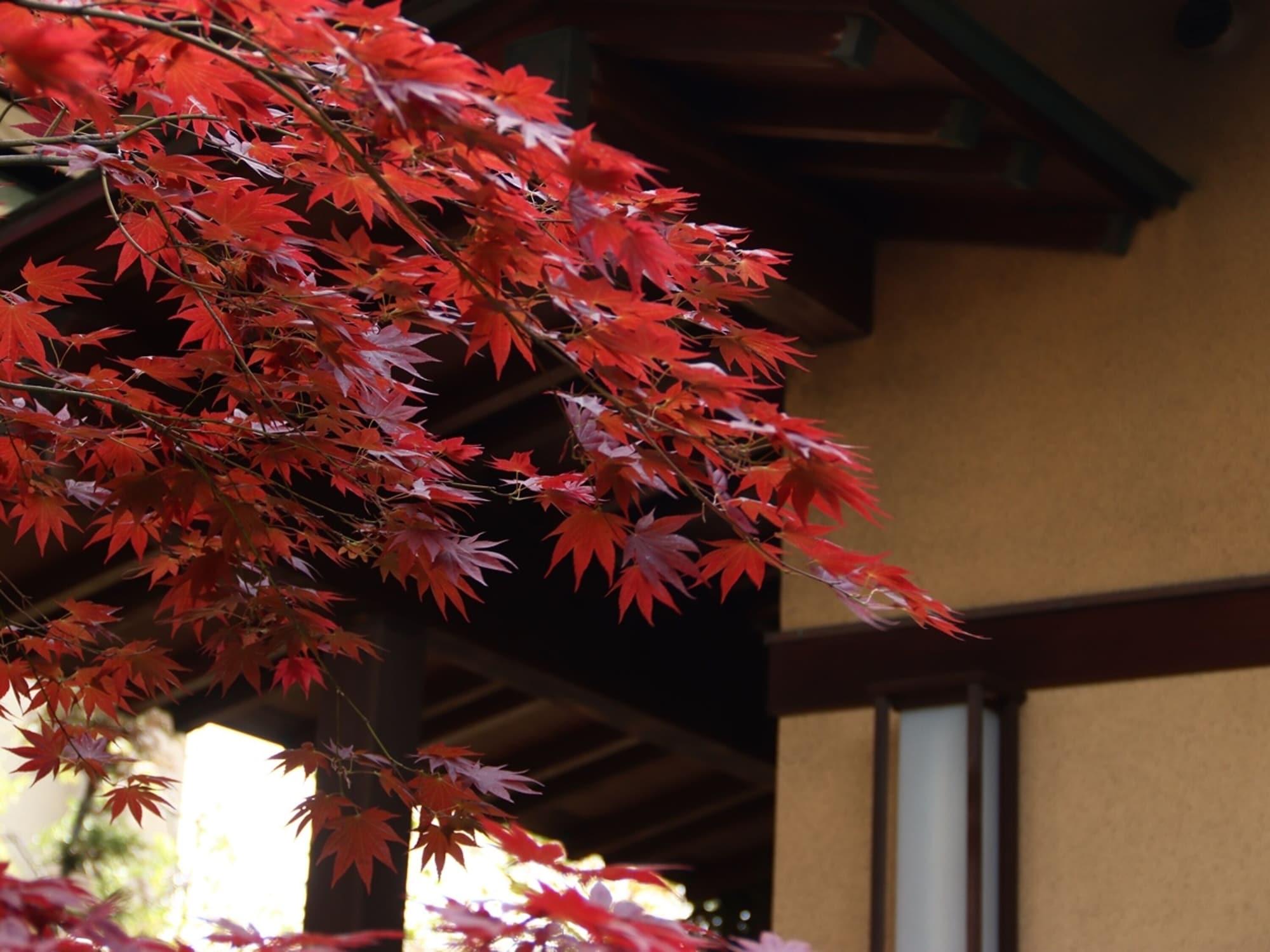 Vista Exterior Ryokan Karasawa