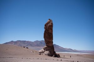 Actividad - Ruta de los Salares Andinos