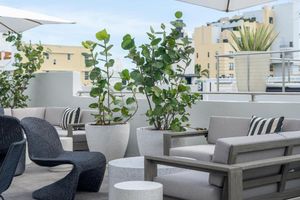 Alojamiento - Nassau Suite Hotel