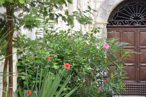 Alojamiento - Acquablu charme suite