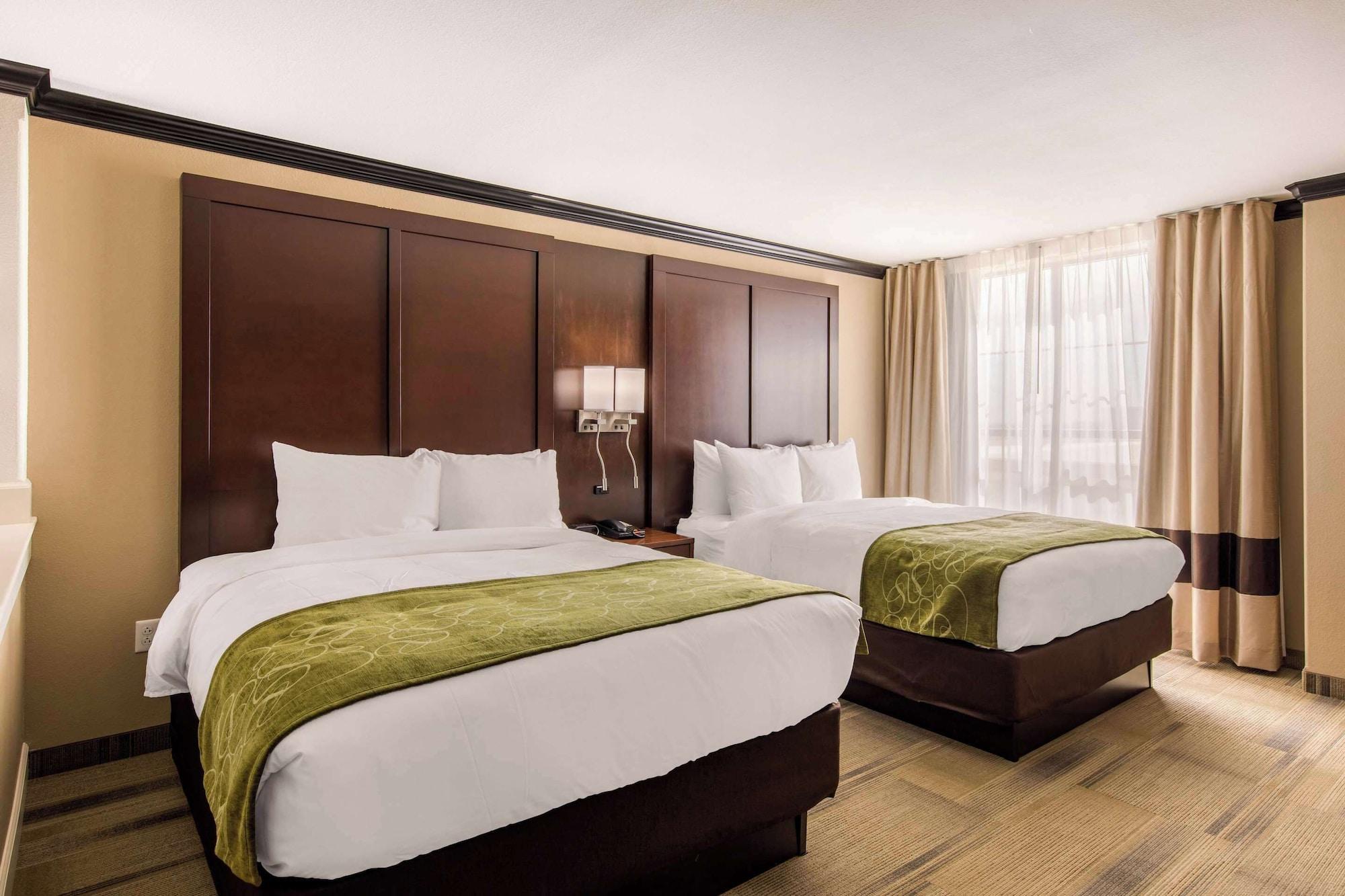 Habitación Comfort Suites