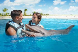 Actividad - Punta Cana: Dolphin Encounter + Rayas y Tiburones