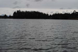 Actividad - Excursión al lago El Bolsón