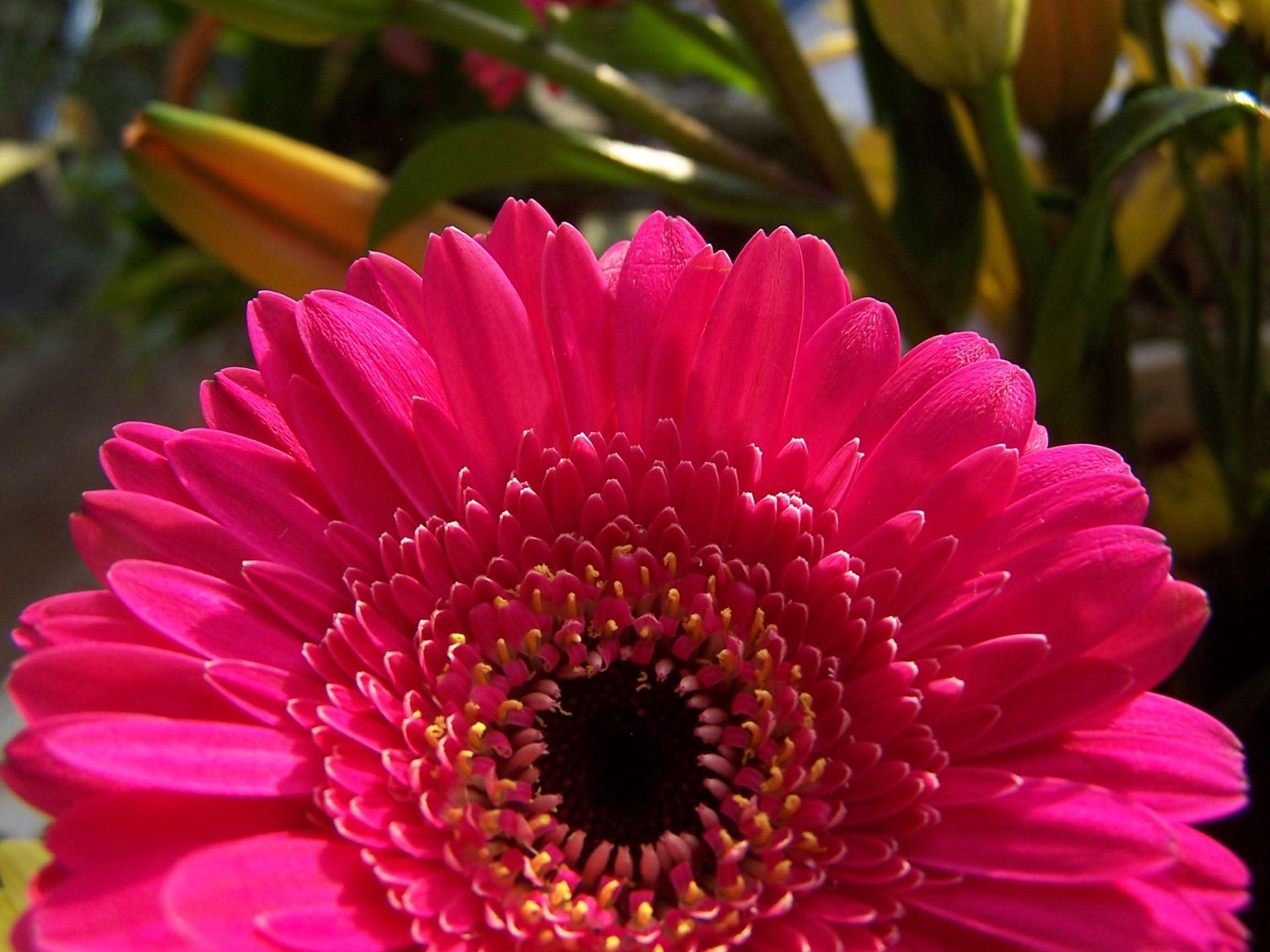 Vista Exterior DoubleTree by Hilton Chicago - Alsip