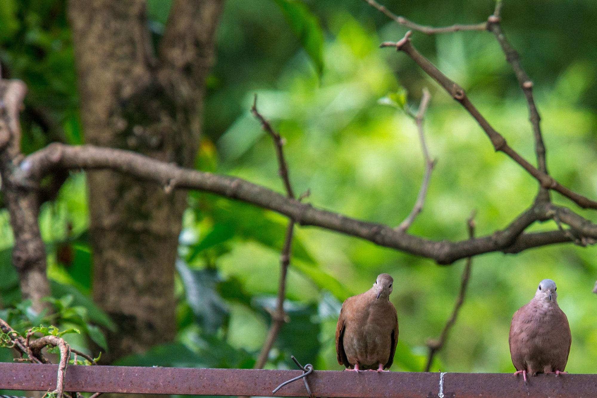 Vista Exterior Hotel Eclipse Villavicencio