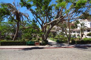 Alojamiento - Cabo Pedregal Hotel