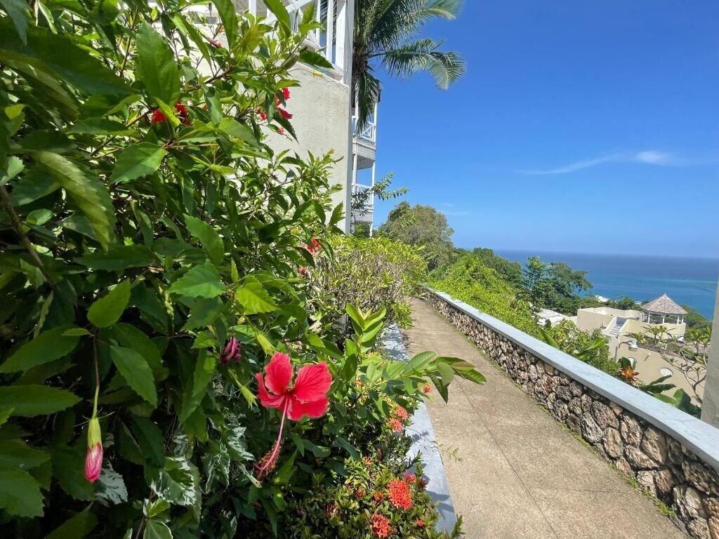 Equipamiento de Habitación Humming Bird Holiday Retreat