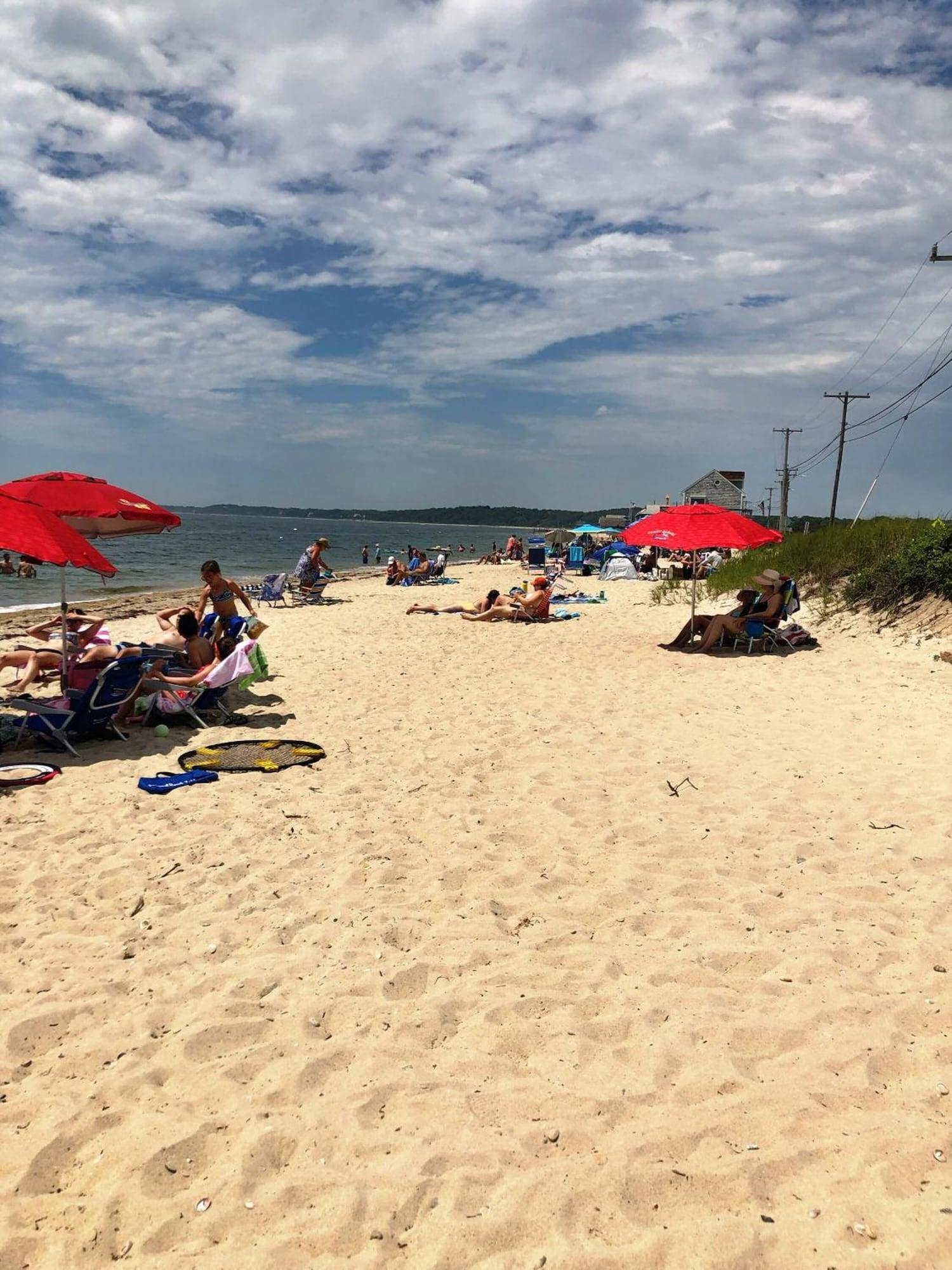 Playa Treehouse Lodge
