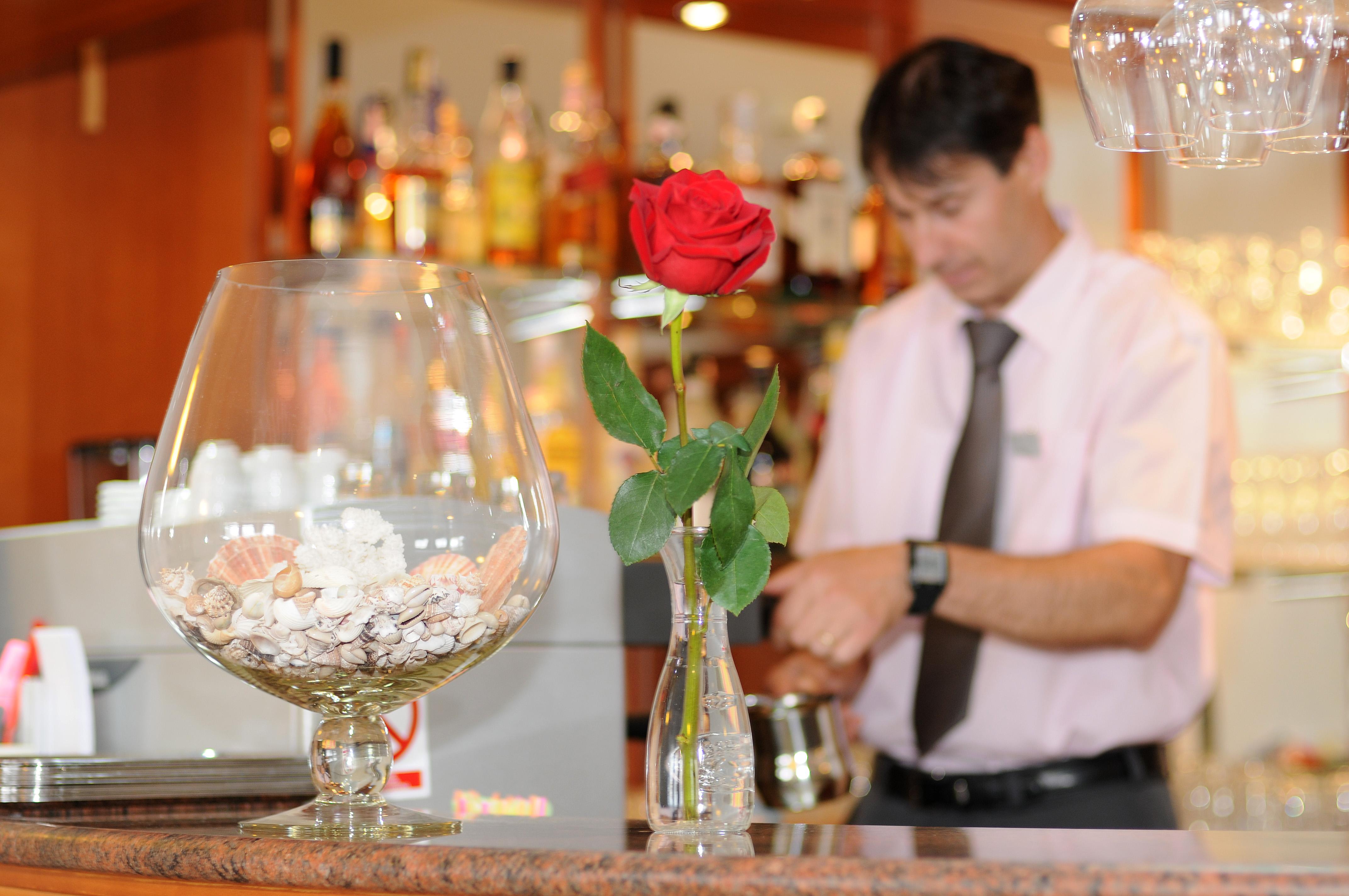 Bar/Salón Hotel Rosina