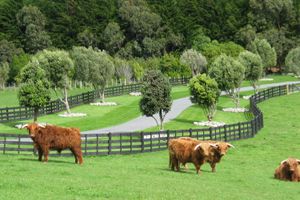 Actividad - Tour a Shenandoah: tour exclusivo