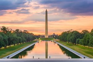 Actividad - Tranvia hop-on hop-off en Washington