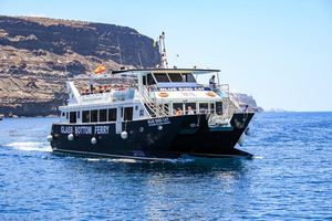 Actividad - Avistamiento de delfines y snorkel en catamarán