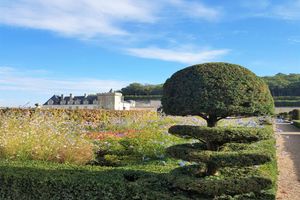 Actividad - Visita al Castillo y Jardines de Villandry y al Castillo l'Islette, de propiedad familiar
