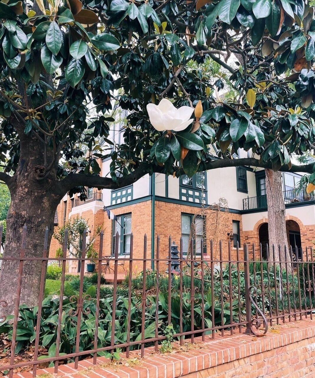 Vista Exterior Hotel RITUAL