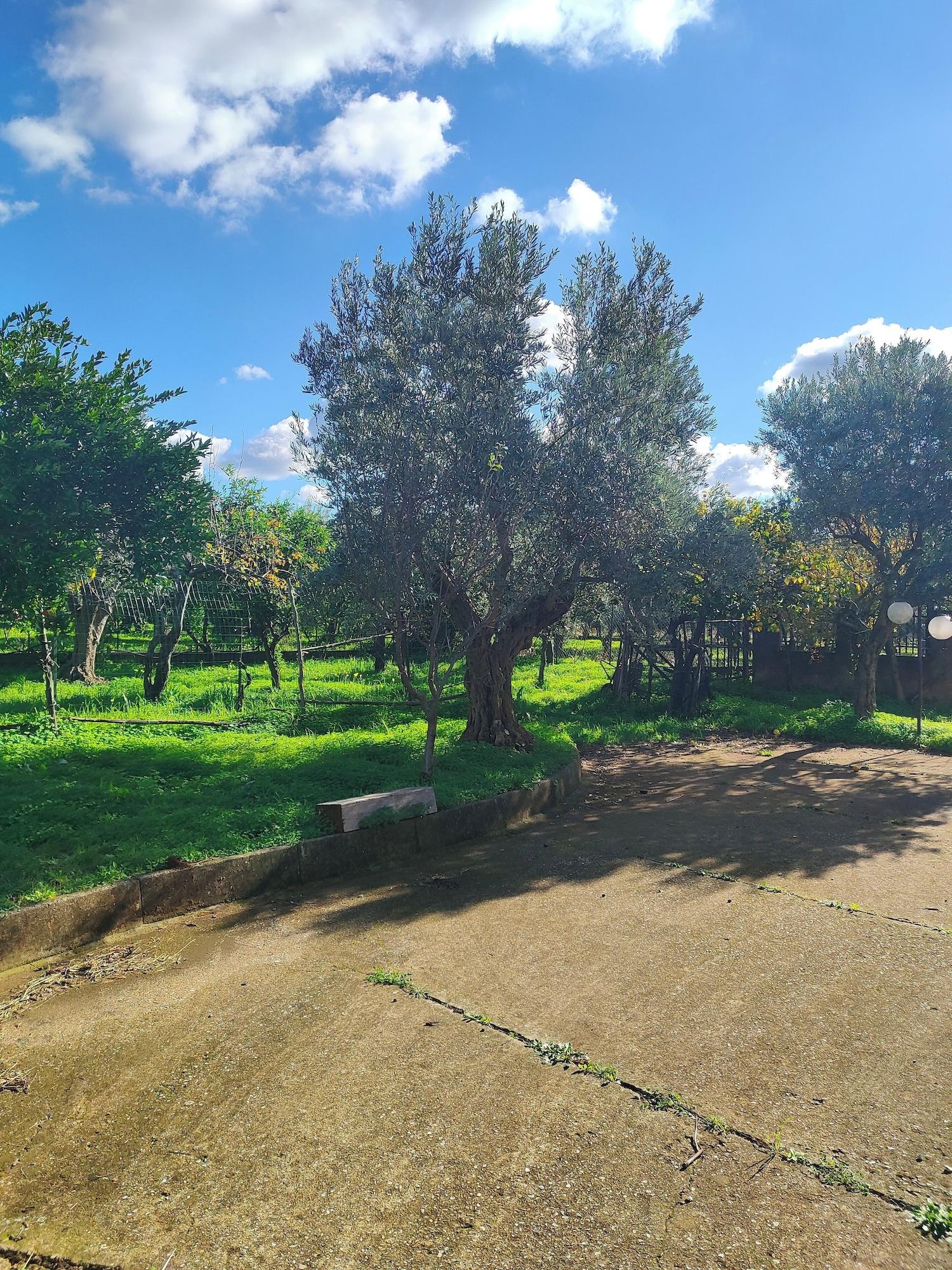 Vista Exterior Holiday Calabria Rooms