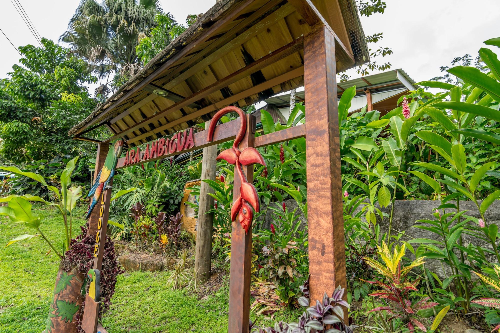 Vista Exterior Ara Ambigua Lodge