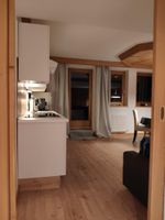 Alquiler Vacacional - Alpendohle Apartments "alfons Walde"