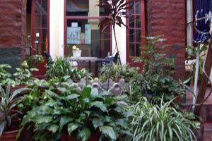 Alojamiento - The Recoleta Hostel