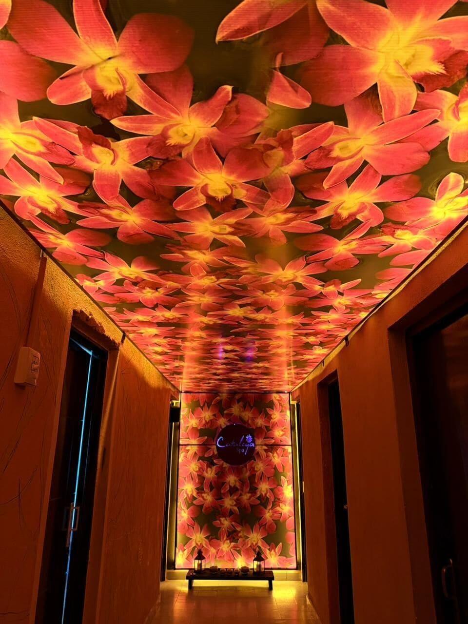 Spa Carod Espacio Serrano