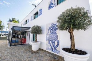 Alojamiento - Solar Antigo Luxury Porto Aeroporto
