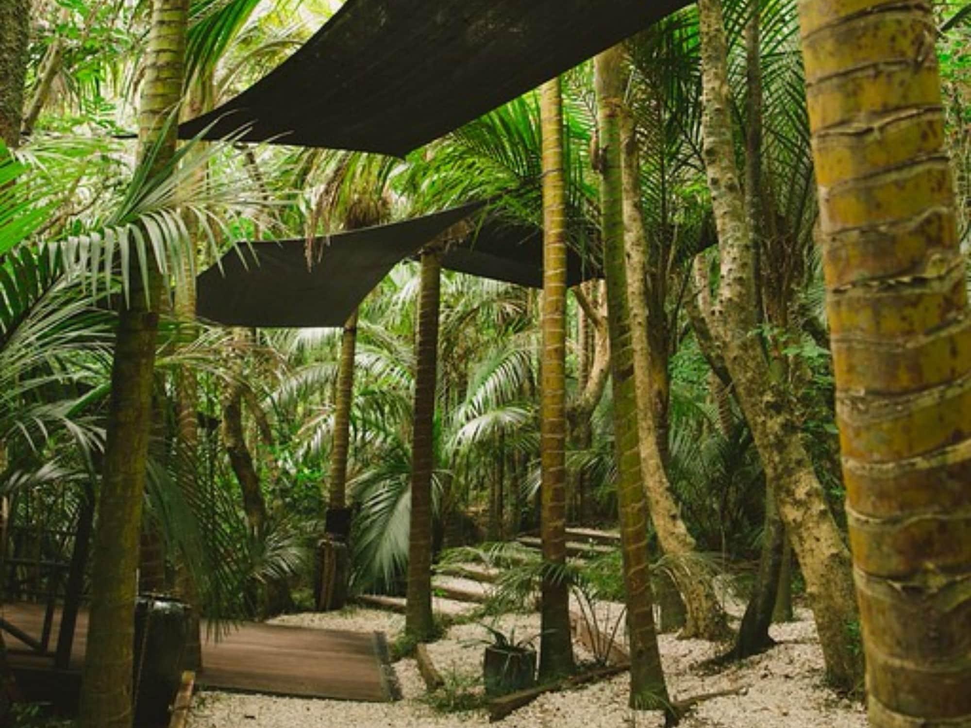 Gimnasio Greenmantle Estate Hotel