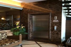 Alojamiento - Palmy Hotel