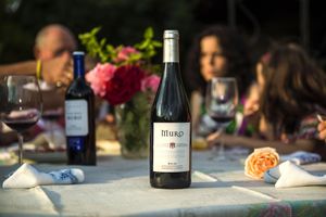 Alquiler Vacacional - Casa pichon etxea and Muro wineries