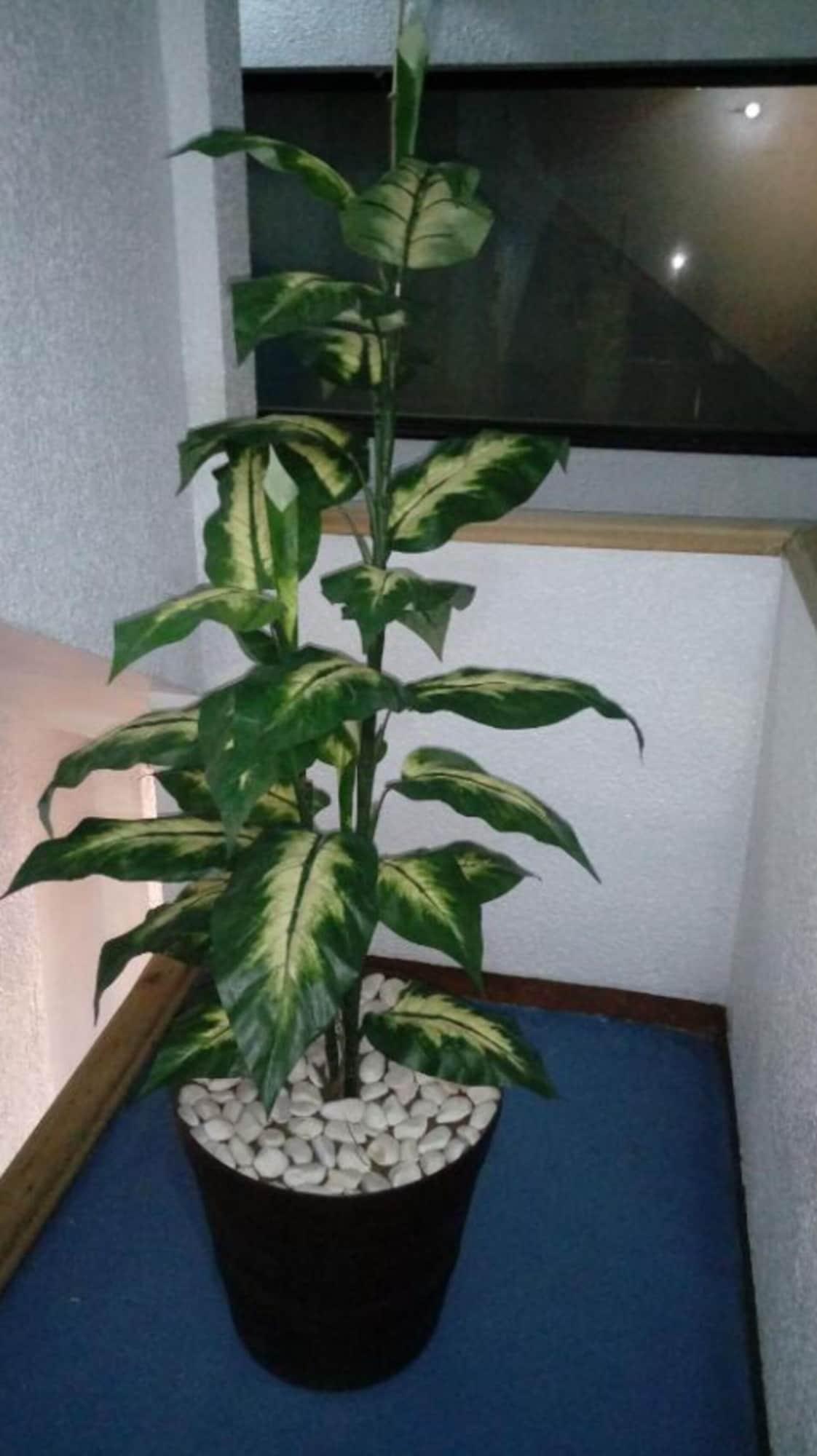 Instalaciones Recreativas Hotel Patria