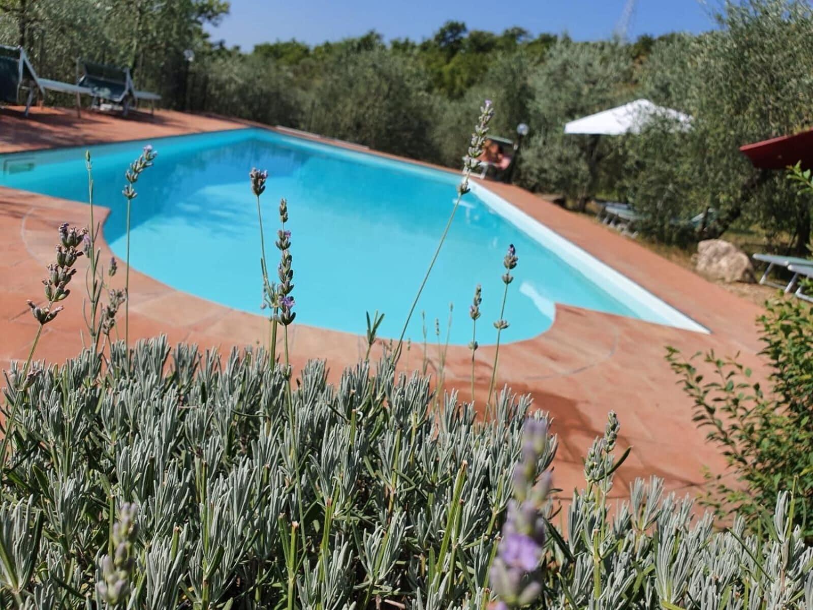 Vista Piscina Agriturismo Crocino in Chianti