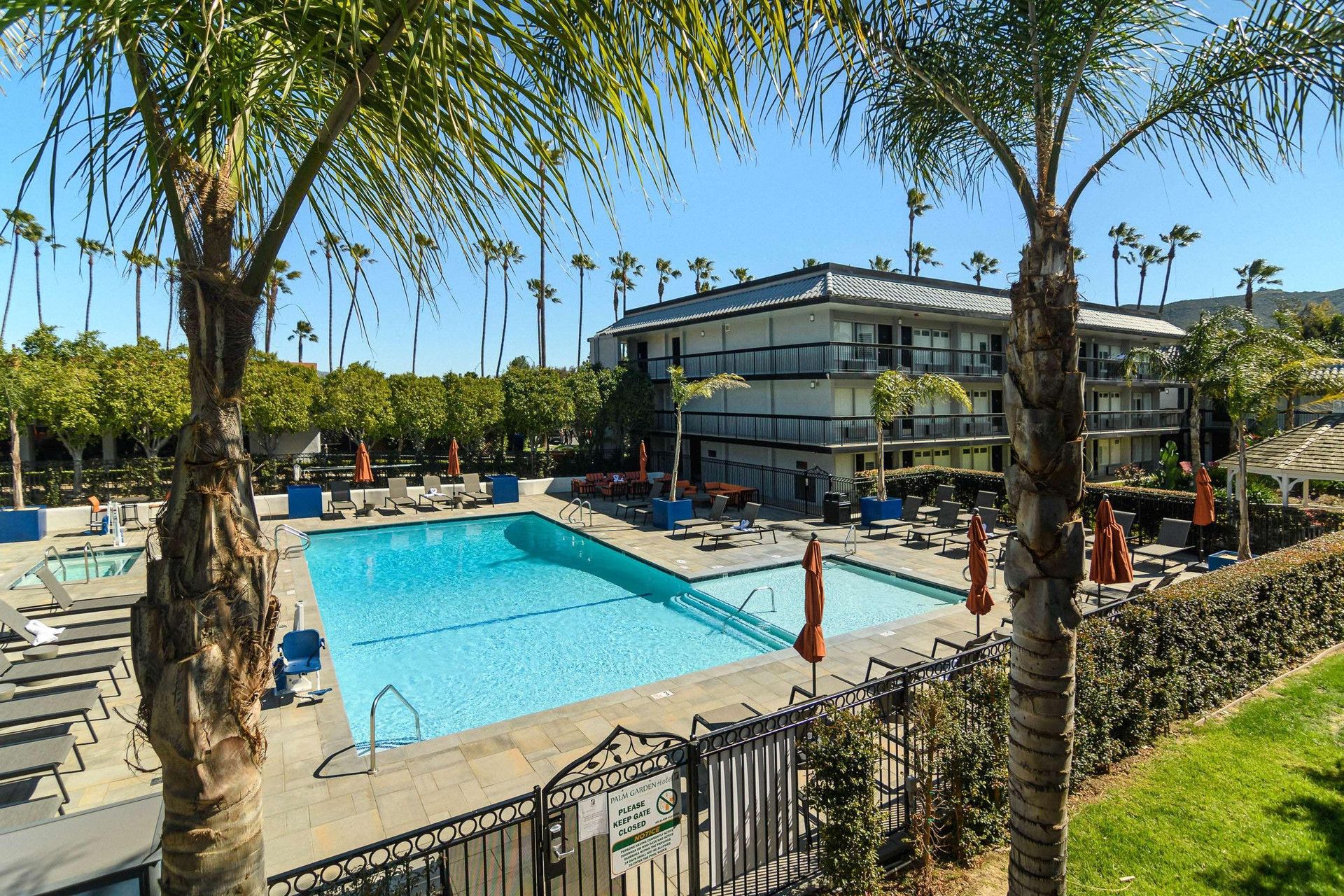 Vista Piscina Palm Garden Hotel