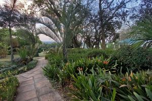 Alojamiento - Nut Grove Boutique Hotel