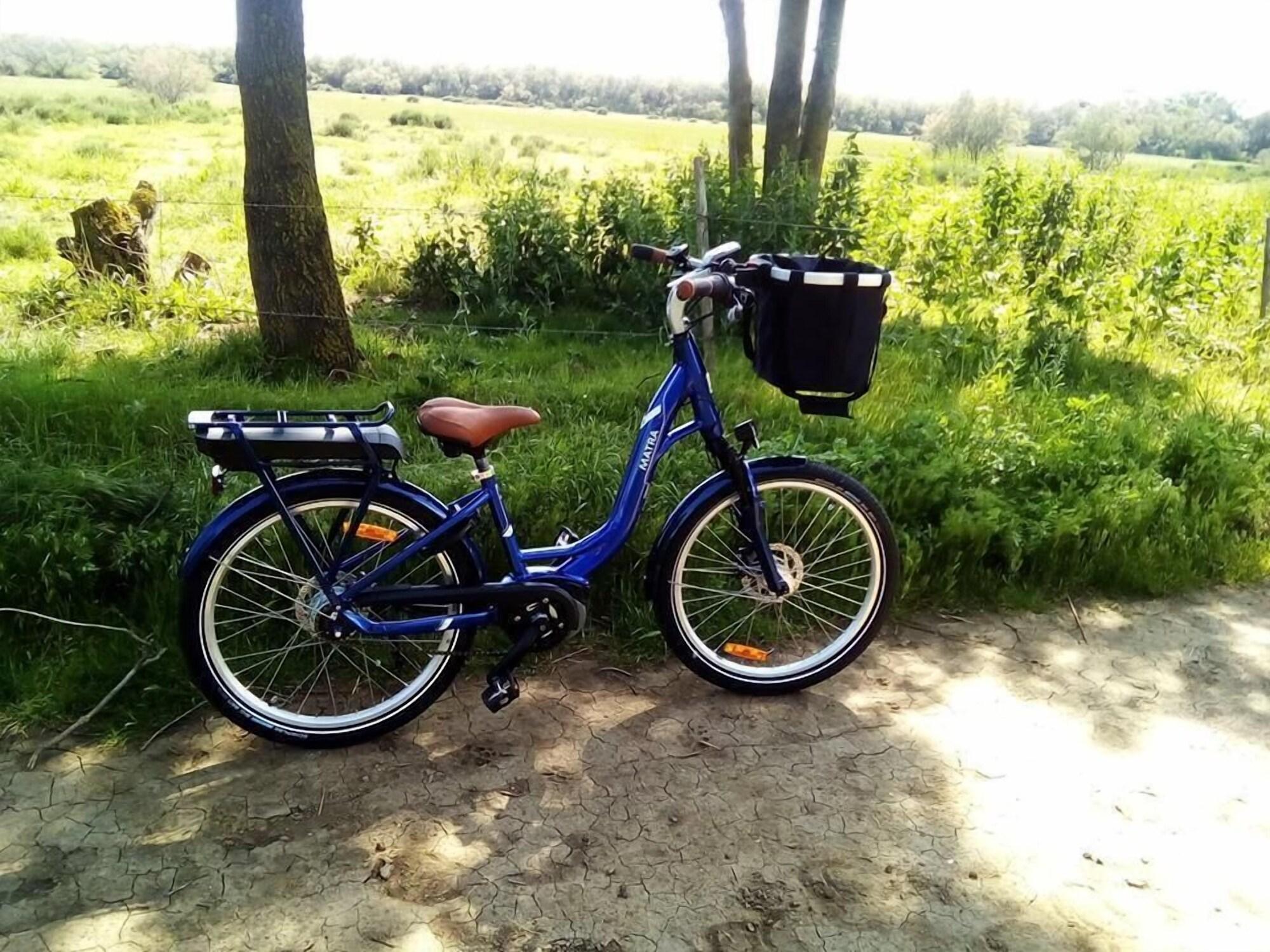 Instalaciones Recreativas Maison du Canal