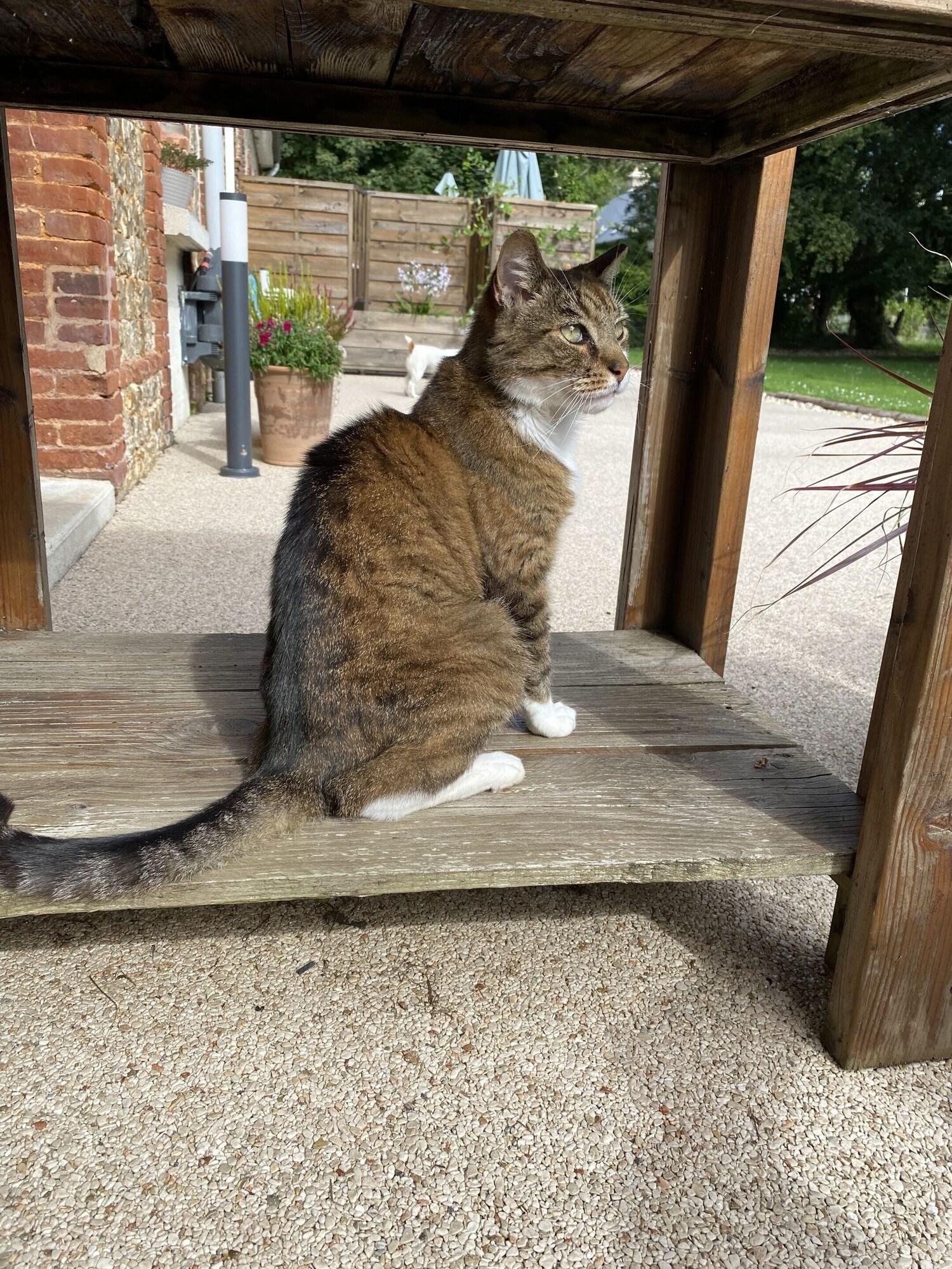 Vista Exterior Aux Ecuries du Château