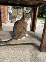 Alojamiento - Aux Ecuries du Château