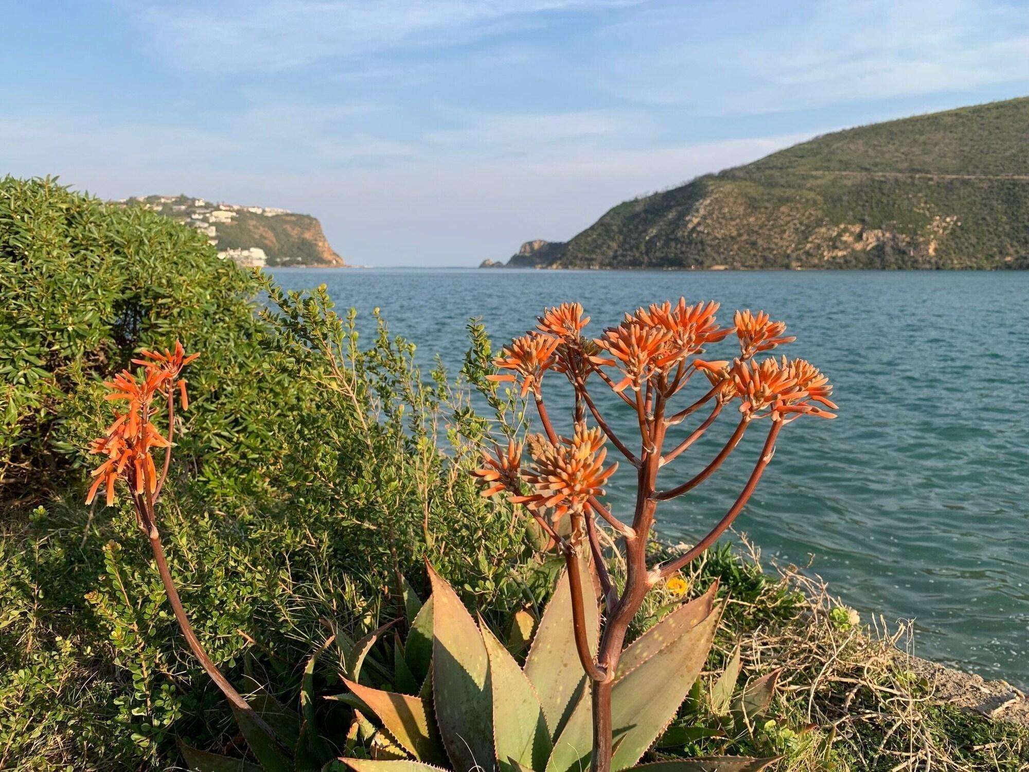 Playa Chez Pierre