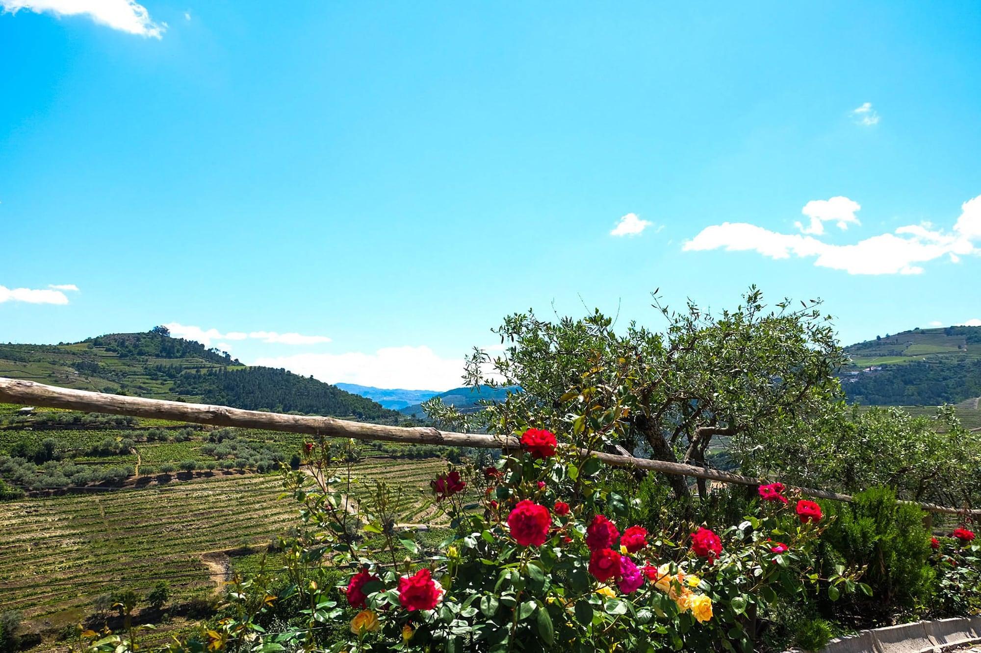 Vista Exterior Hotel Rural Quinta do Silval