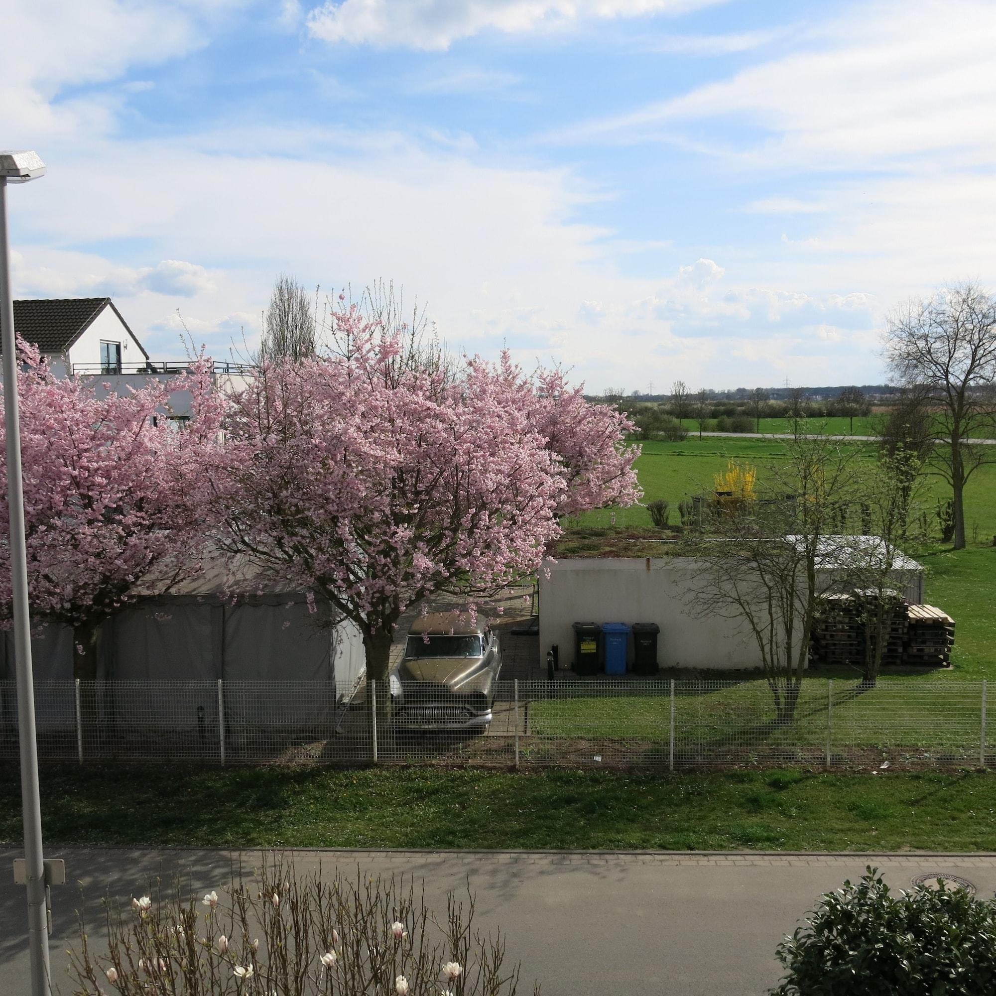 Vista Exterior Hotel Ackermann