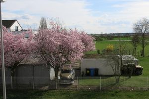 Alojamiento - Hotel Ackermann