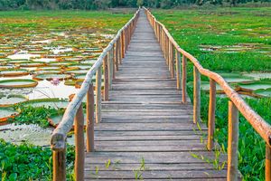 Passagem - Voos para Campo Grande