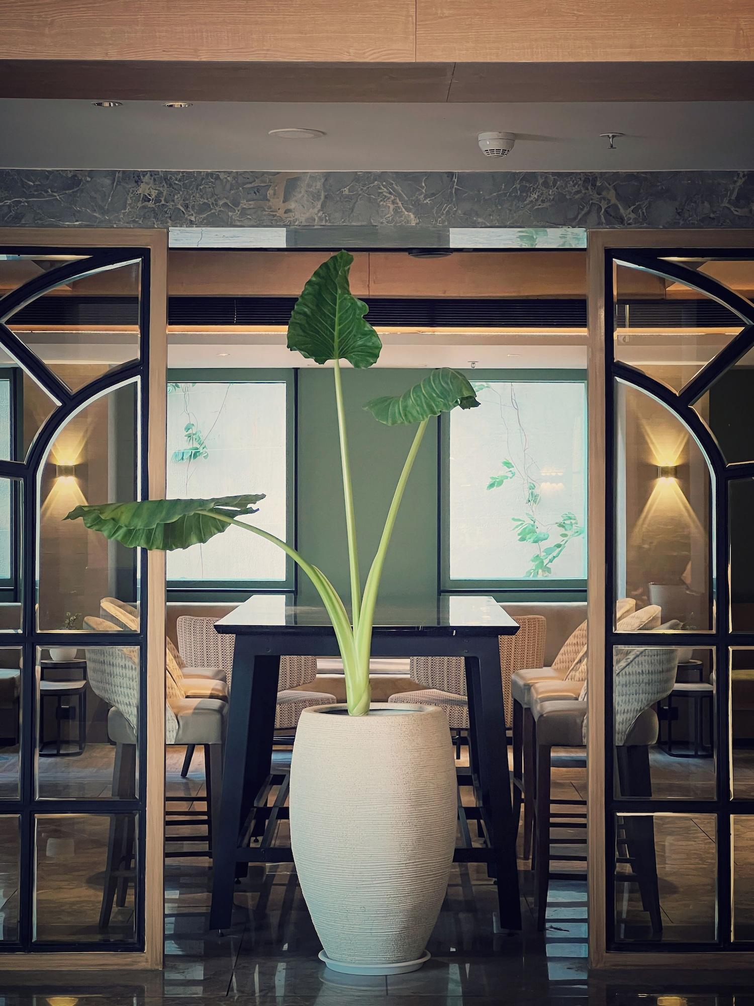 Vista Lobby Hyatt Place Vijayawada
