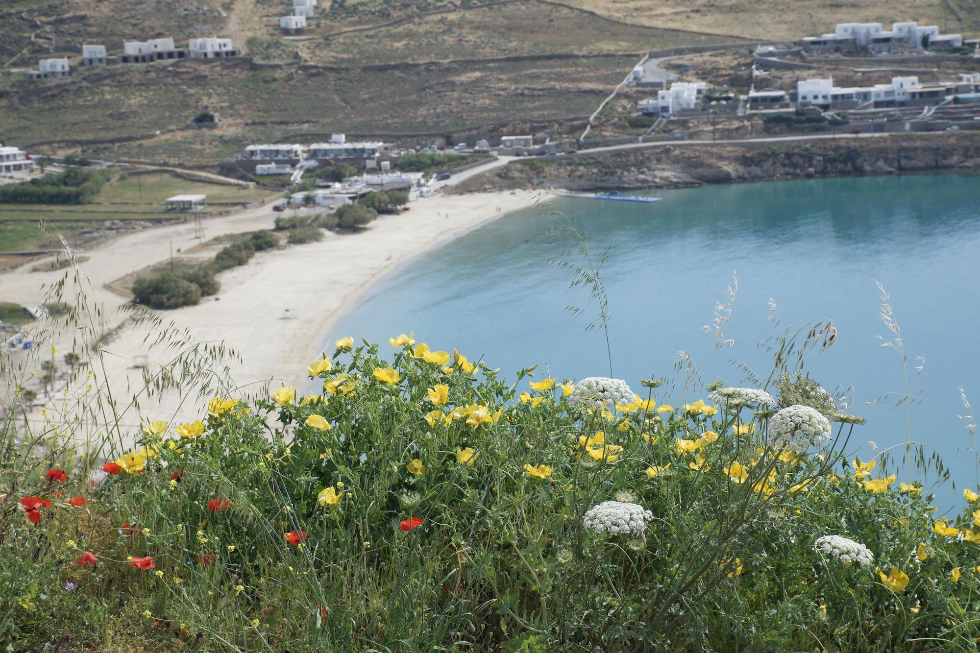 Playa Andromeda Mykonos Villas & Suites