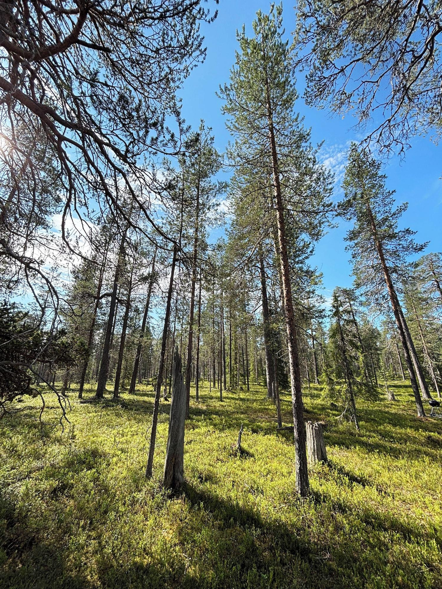 Vista Exterior Borealis