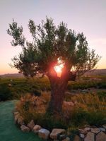 Alojamiento - Cabezo Buñuel