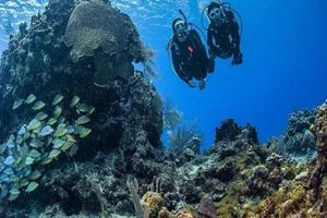 Actividad - Scuba Diving from a Boat in the Benidorm Island