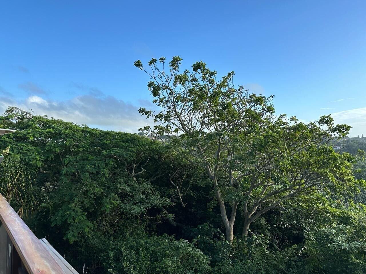 Vista Exterior Mzimayi River Lodge