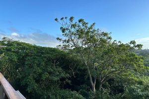 Alojamiento - Mzimayi River Lodge