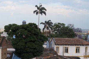 Alojamiento - Hostal La Petite House San Antonio